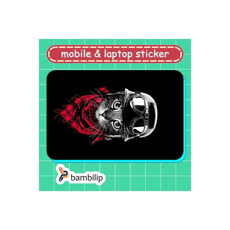 استیکر بامبیلیپ مدل کارت عابر طرح گربه با کلاه ایمنی کد 3057974