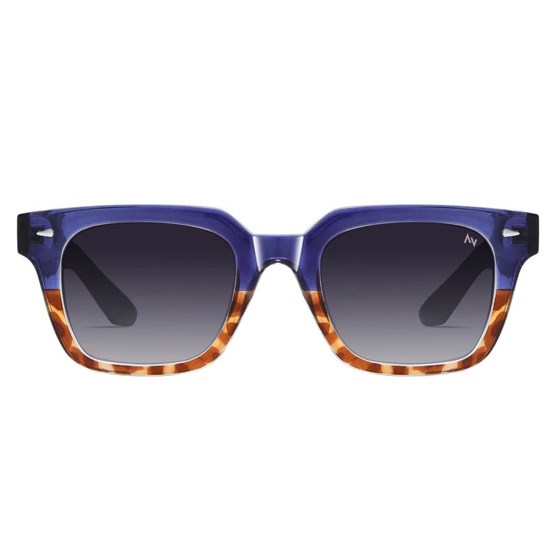 عینک آفتابی ویفرر (Wayfarer) آلبرت وگ مدل S31105-C4 Polarized Avantgarde Visionary