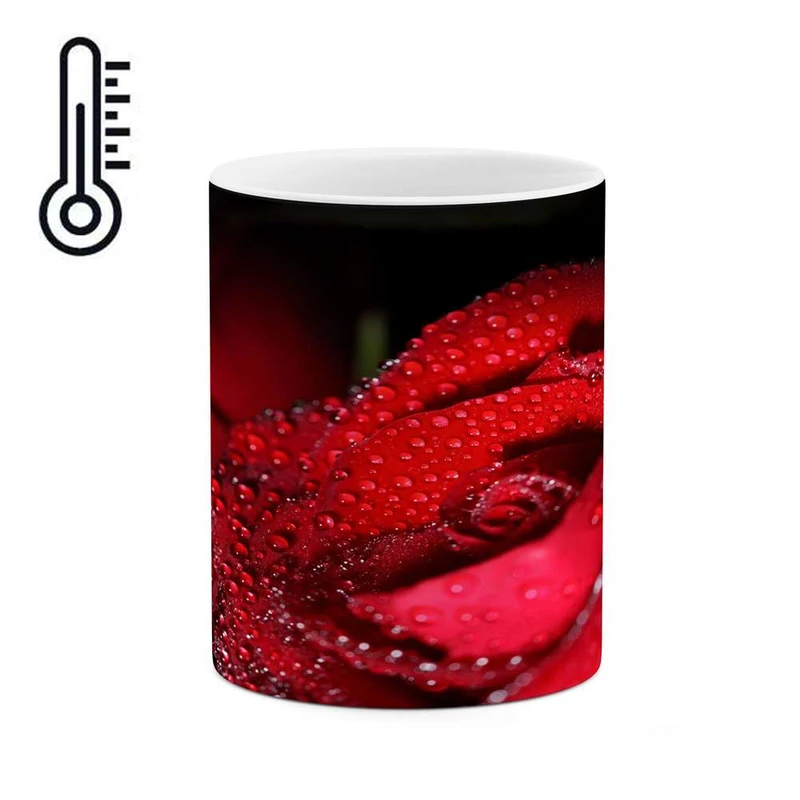 ماگ حرارتی کاکتی مدل گل رز کد mgh18061