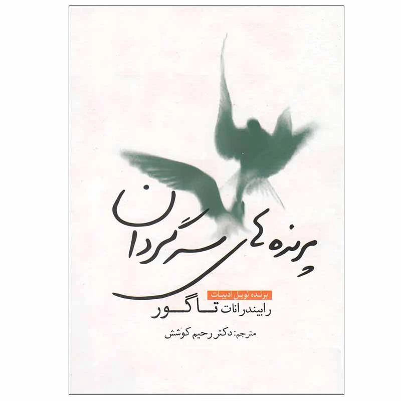 کتاب پرنده های سرگردان اثر رابیندرانات تاگور انتشارات سبزان