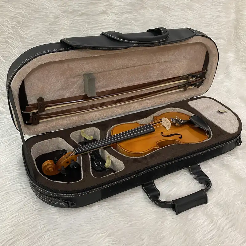 هاردکیس ویولن مدل MSGHSN