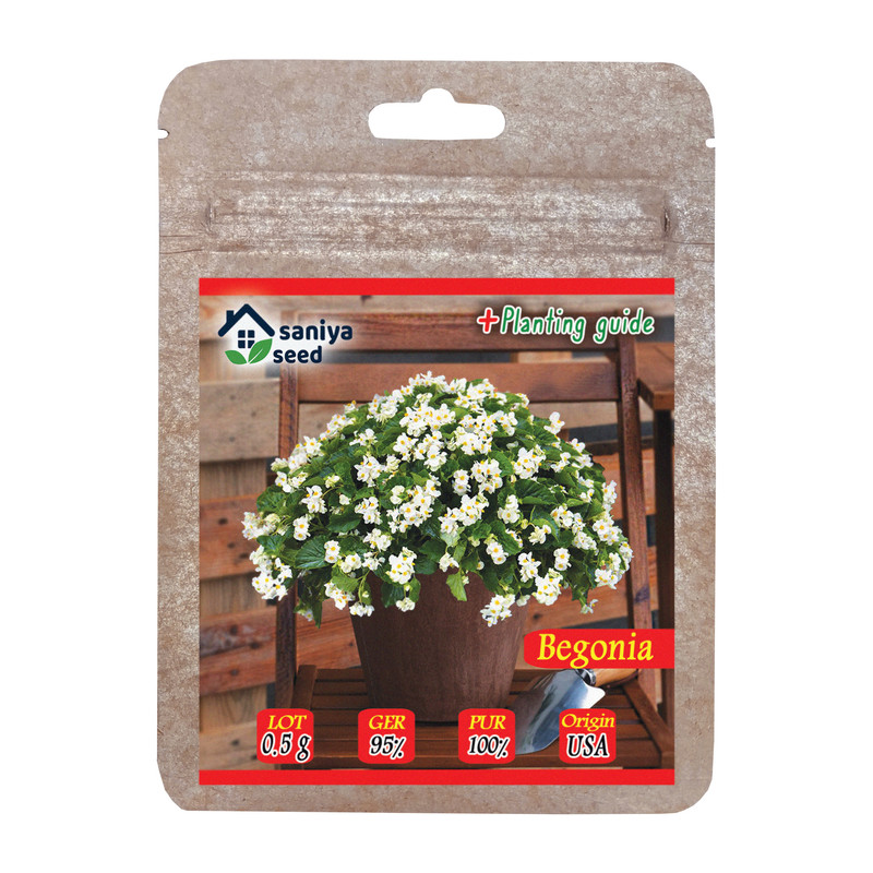 بذر گل بگونیا عروس سفید سانیا سید مدل ss14 بذر گل بگونیا عروس سفید سانیا سید مدل ss14