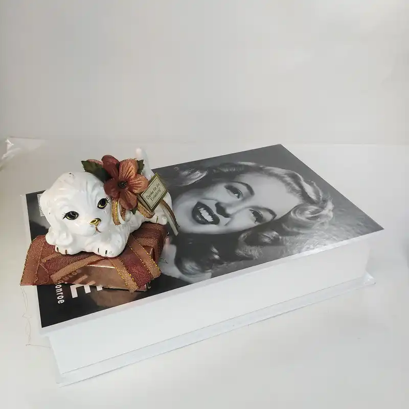 جعبه دکوری مدل کتاب دکوراتیو مرلین مونرو