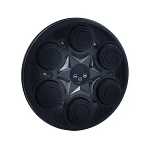 کیسه بوکس دیواری مدل موزیکال کد Intelligent in25