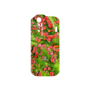 MAHOOT Atom Universe 3 Cover Sticker for CAT S60