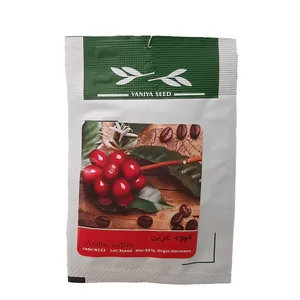 بذر قهوه عربی وانیا سید مدل N122