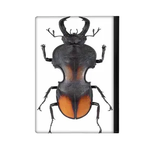 کلاسور مدل حشره کد 820