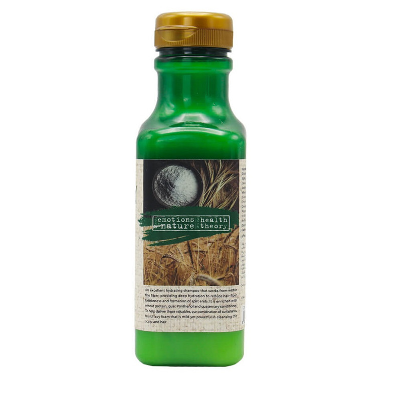 شامپو و نرم کننده مو هلس تئوری مدل Wheat Protein حجم 385 میلی لیتر شامپو و نرم کننده مو هلس تئوری مدل Wheat Protein حجم 385 میلی لیتر