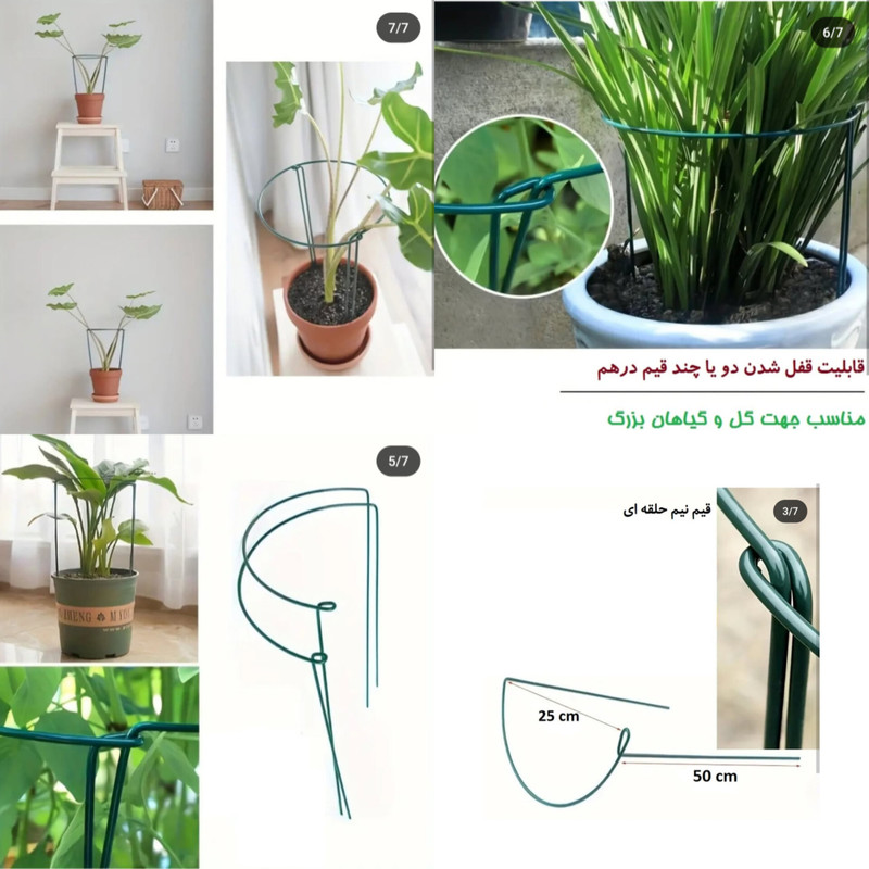 قیم نگهدارنده گیاه مدل سانسوریا بسته 4 عددی
