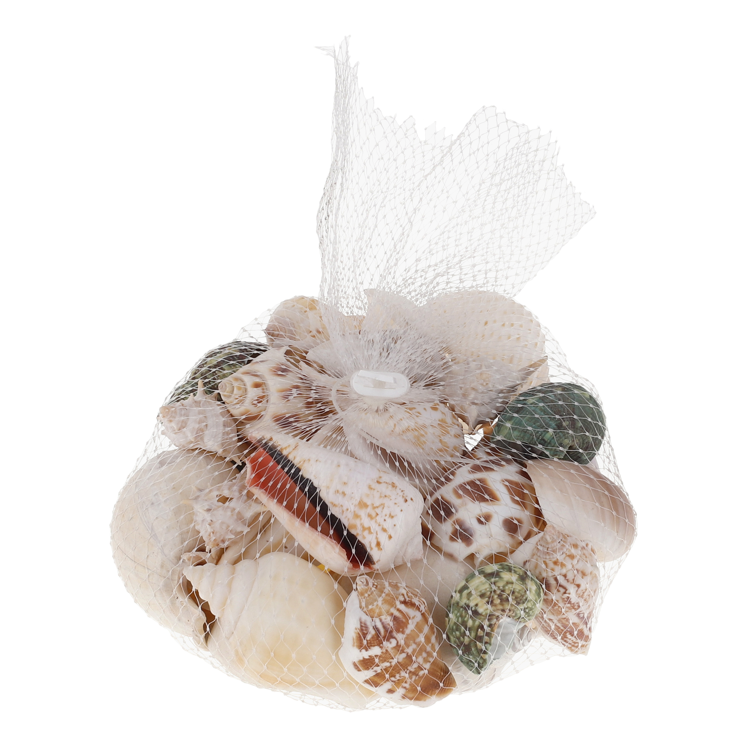 صدف تزیینی آکواریوم مدل 001