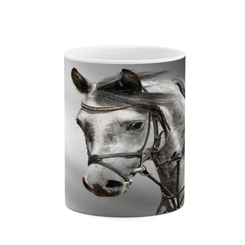 ماگ کاکتی مدل اسب کد mgh24050