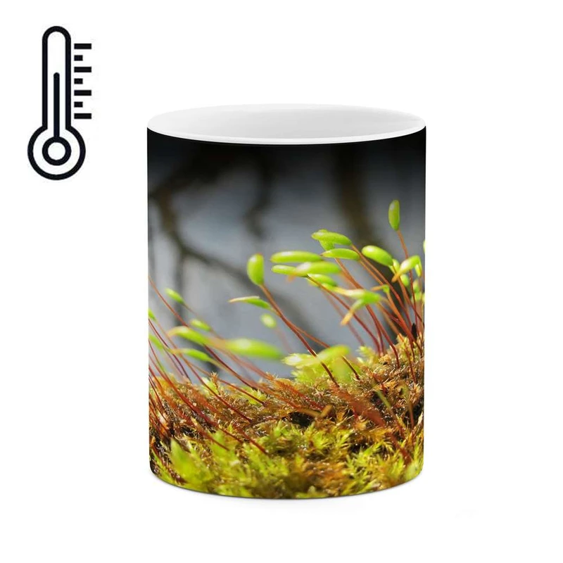 ماگ حرارتی کاکتی مدل شکوفه کد mgh15562