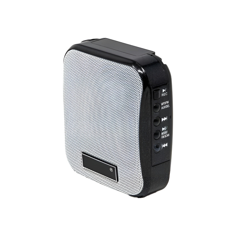 اکو آمپلی فایر 8 وات دی اند دی مدل AP-168 اکو آمپلی فایر 8 وات دی اند دی مدل AP-168