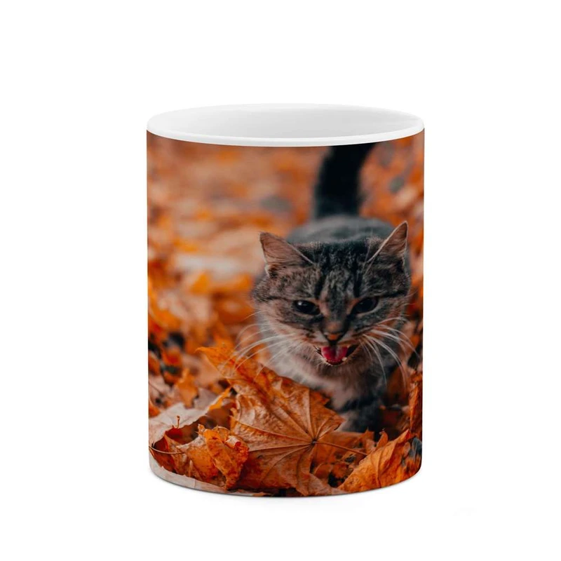 ماگ کاکتی مدل گربه کد mgh16702