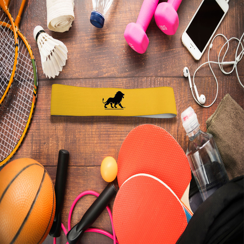 هدبند ورزشی آی تمر مدل شیر کد 320