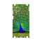برچسب پوششی ماهوت مدل Peacock-FullSkin مناسب برای گوشی موبایل سامسونگ Galaxy F12 0