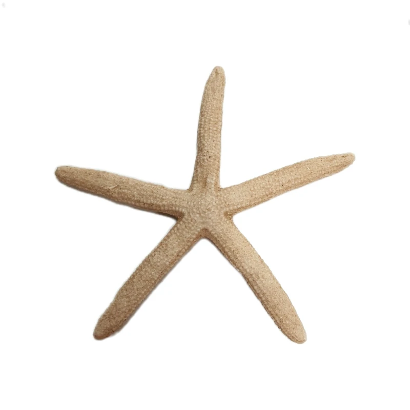 ماکت دکوری مدل ستاره دریایی مصنوعی