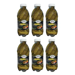 خیارشور معمولی پامچال - 1050 گرم مجموعه 6 عددی