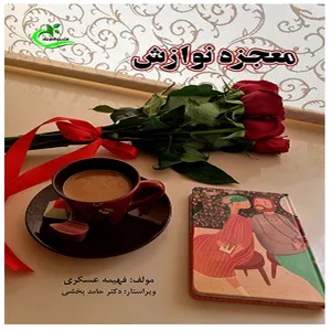 کتاب معجزه نوازش اثر فهیمه عسکری انتشارات برگ و باد