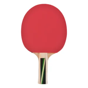 راکت پینگ پنگ دونیک مدل L400
