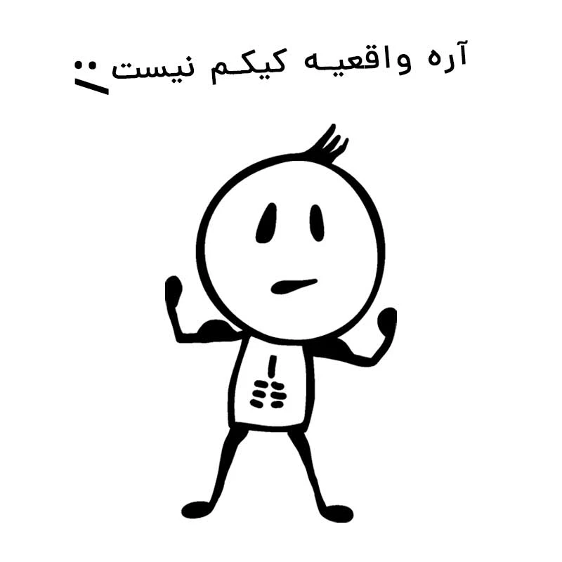 برچسب بدنه خودرو لندمون طرح فانتزی مدل واقعیه یا کیک کد LF003 M