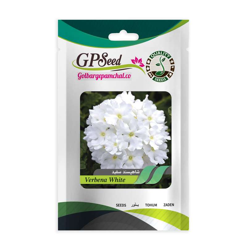 بذر گل شاهپسند سفید گلبرگ پامچال کد GPF-254