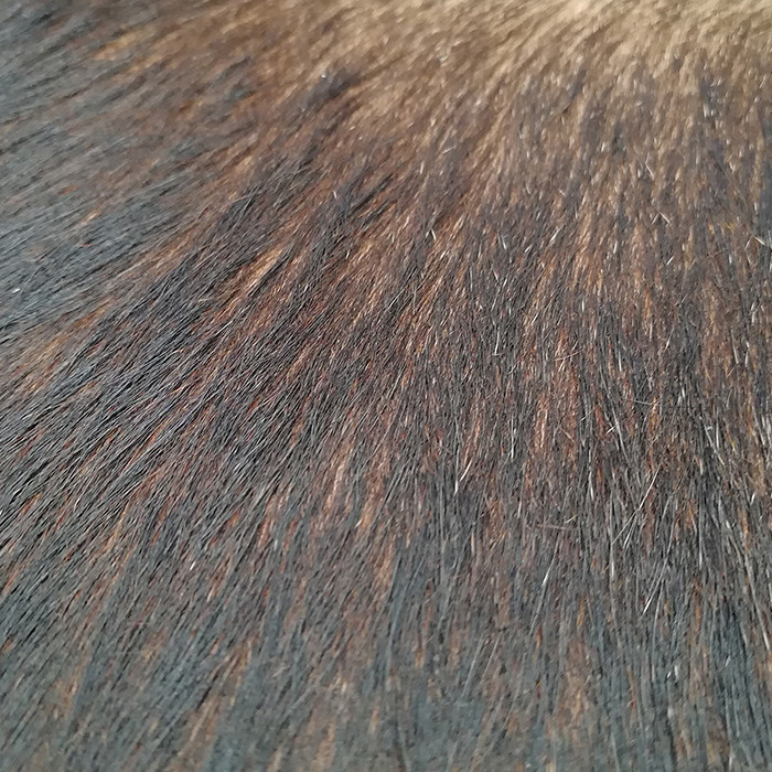 فرش پوست کمالی مدل AA-0609 فرش پوست کمالی مدل AA-0609