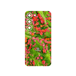 MAHOOT Atom Universe 3 Cover Sticker for Samsung Galaxy S23