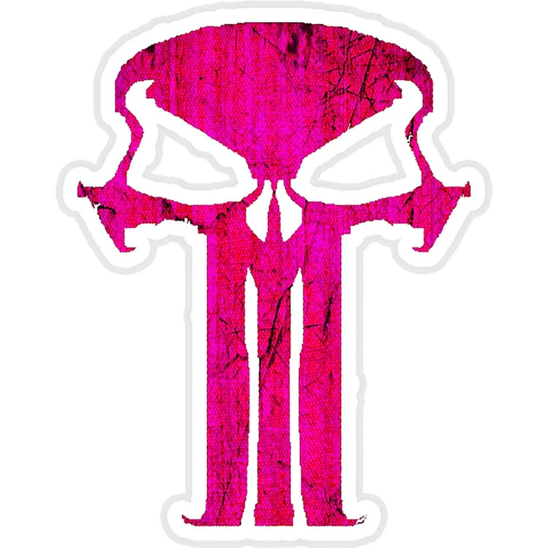 استیکر لپ تاپ طرح Franks Skull-pink کد ST680