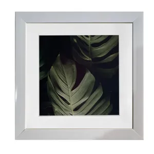 قاب عکس مدل پاسپارتو کد m2020