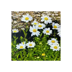 تابلو نقاشی رنگ روغن به سبک رئالیسم طرح گل های بابونه 