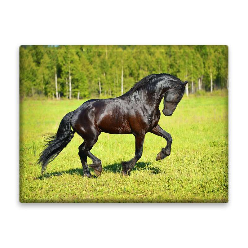کاشی اطلس آبی طرح اسب مدل T5837