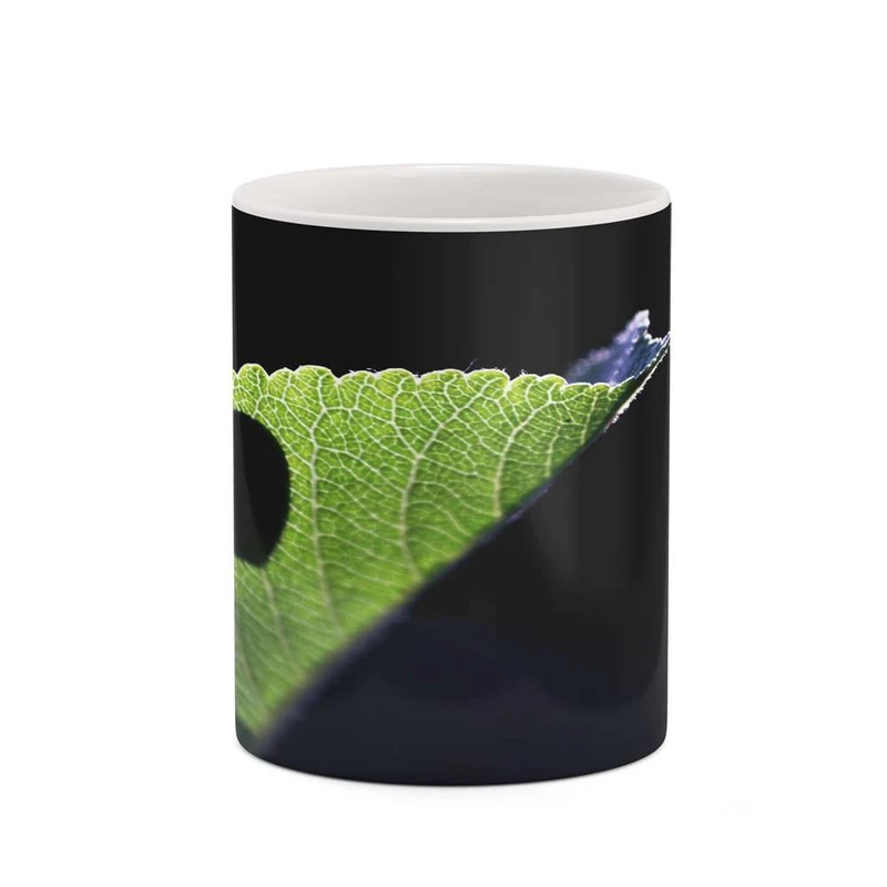 ماگ کاکتی مدل Love کد mgh20661