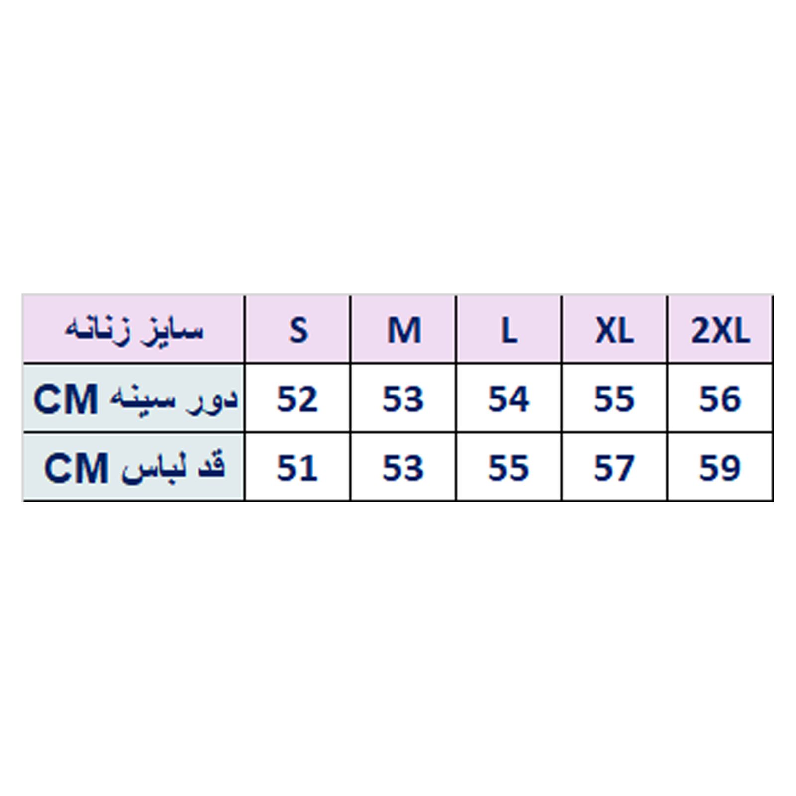 هودی زنانه ایزی دو مدل 21811147259 -  - 9