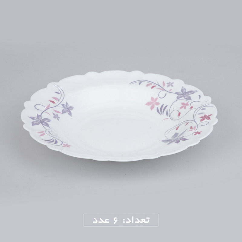 سرويس 25 پارچه آیروپال مدل يگانه