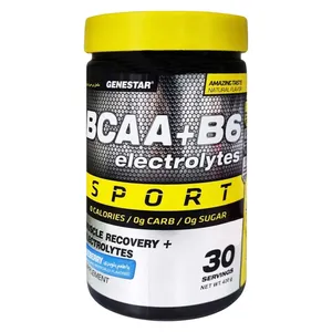 پودر بی سی ای ای و ب-6 با طعم بلوبری ژن استار - 420 گرم