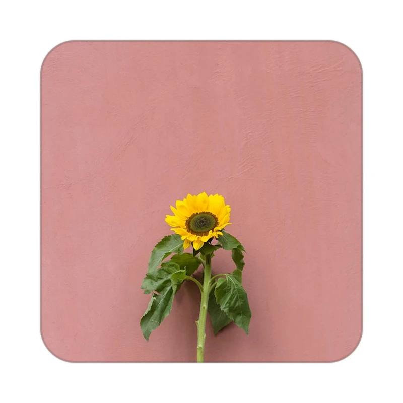 زیر لیوانی کاکتی طرح گل مدل mp19768