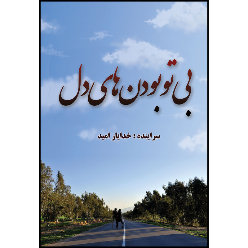کتاب بی تو بودن های دل اثر خدایار امید انتشارات ارسطو