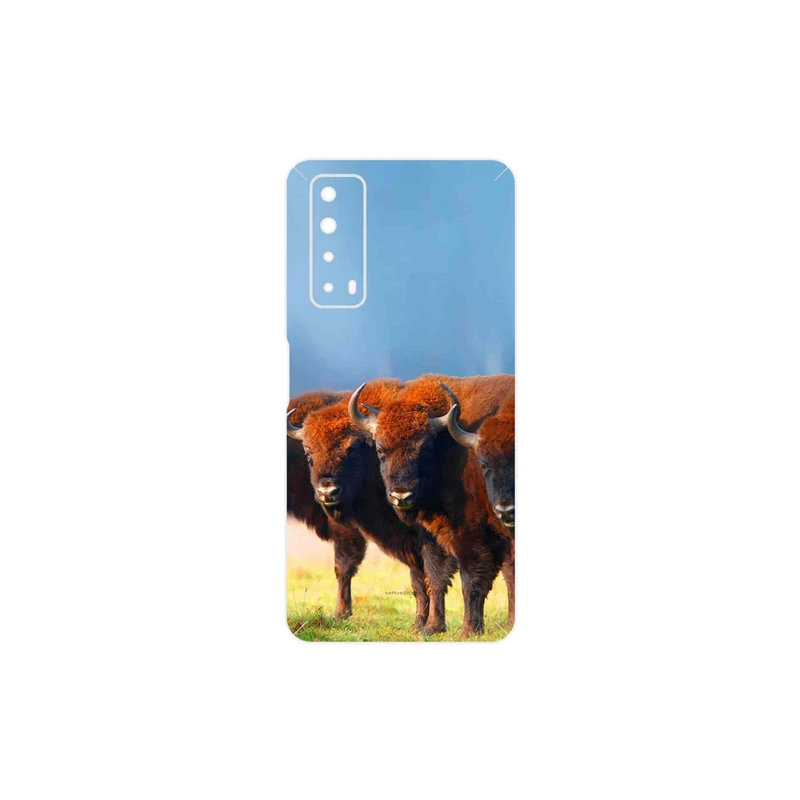 برچسب پوششی ماهوت مدل Buffalo مناسب برای گوشی موبایل هوآوی Y7a
