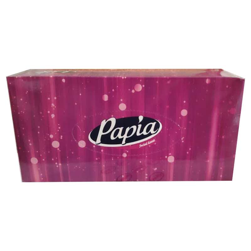 دستمال کاغذی 100 برگ پاپیا مدل karton48 بسته 48 عددی