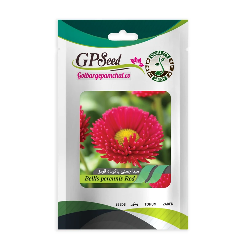 بذر گل مینا چمنی پاکوتاه قرمز گلبرگ پامچال کد GPF-273