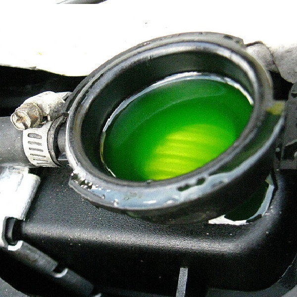 آب رادیاتور مدل 887 حجم 3 لیتر بسته 6 عددی