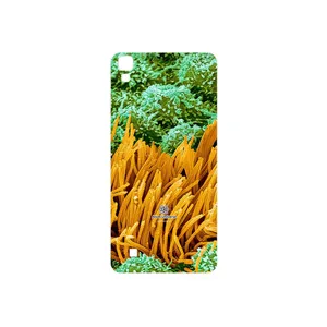 MAHOOT Atom Universe 6 Cover Sticker for LG X Power