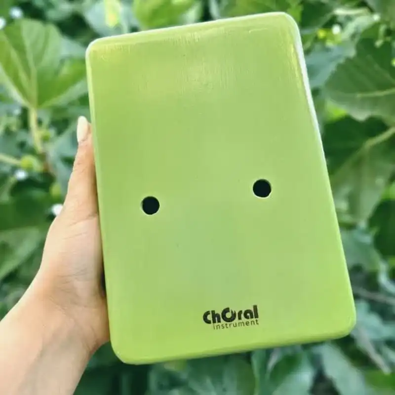 کالیمبا کُرال طرح نقاشی مدل حفره دار حرفه ای