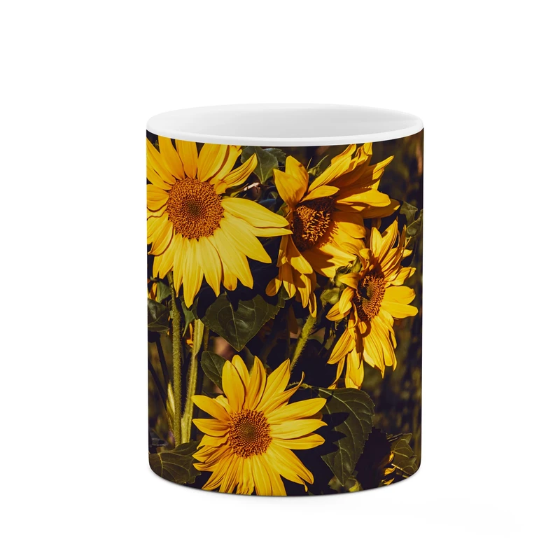 ماگ کاکتی طرح افتبگردان کد mgp10804