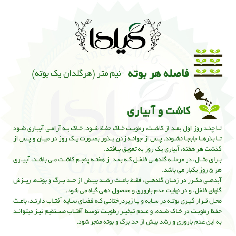 بذر فلفل شیرین سوزنی گلدانی گیلدا کد 356