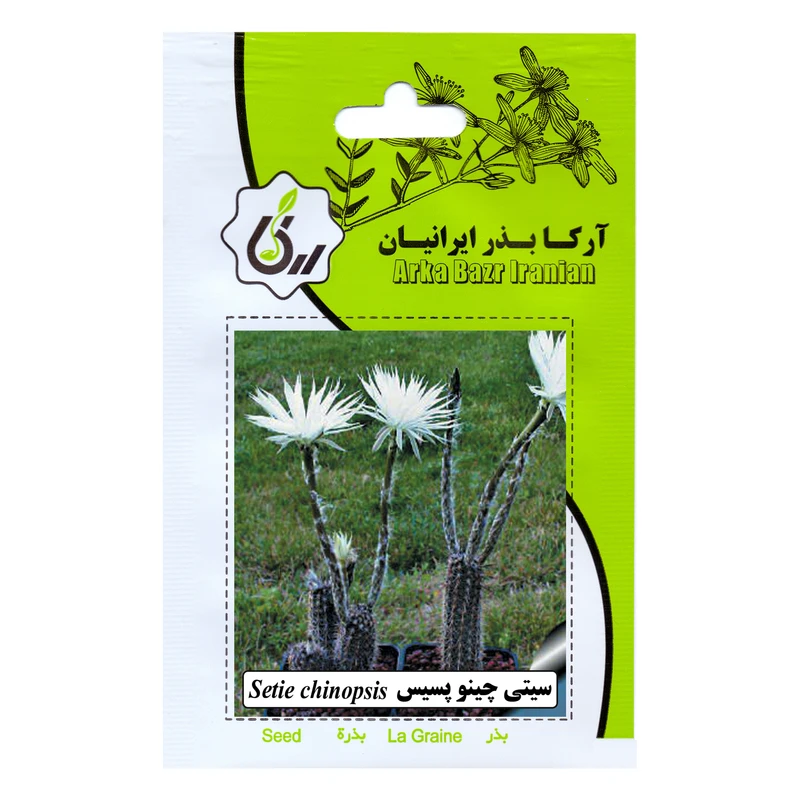 بذر سیتی چینوپسیس آرکا بذر ایرانیان کد 122-ARK