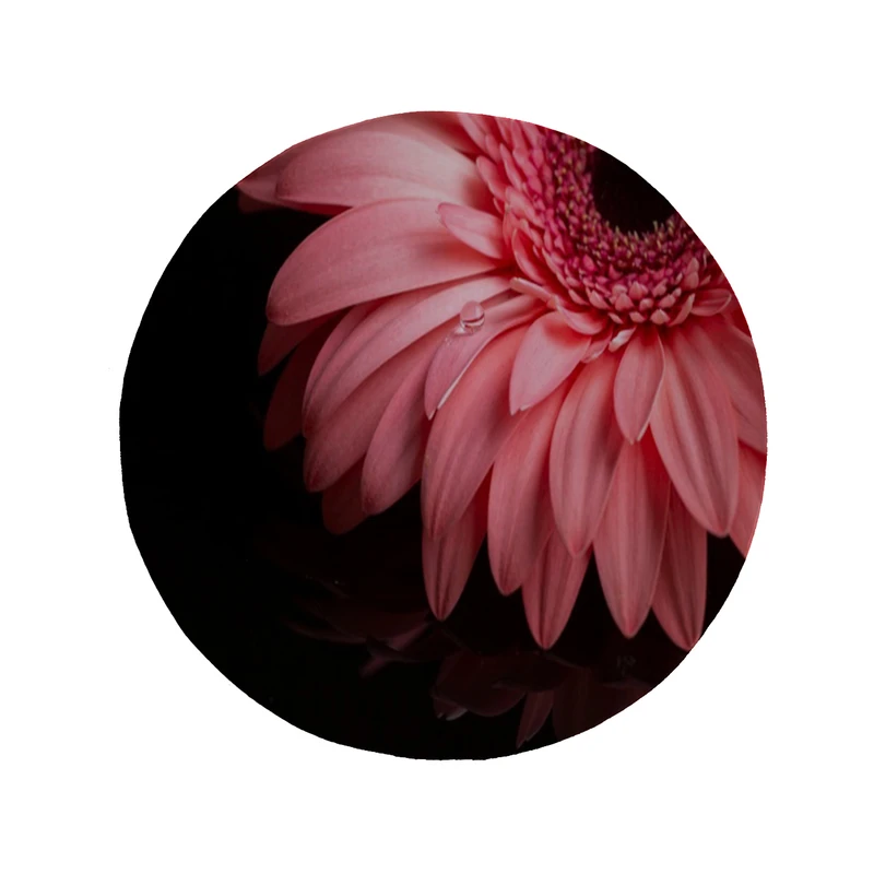    پادری مدل دایره طرح گل کد 8098 سایز 90 × 90 سانتی متر