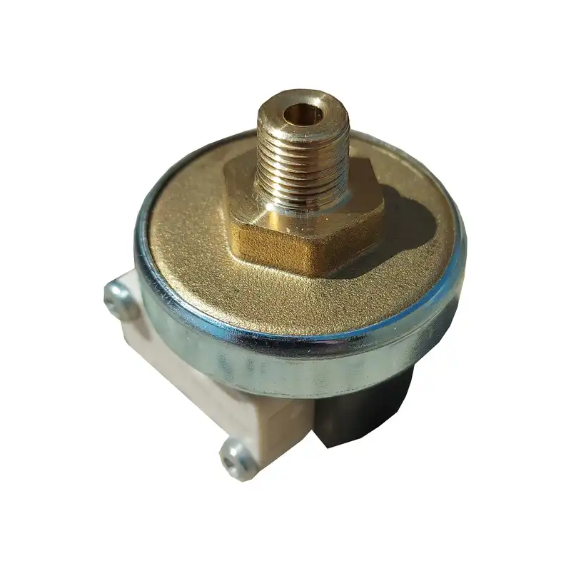 پرشر اتو بخار مدل silteri