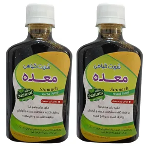 شربت گیاهی معده جالینوس - 260 میلی لیتر بسته 2 عددی 